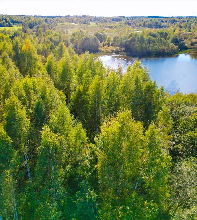 03-lini-13.2ha-ribnoe-hozajstvo-hutor-lv.jpg