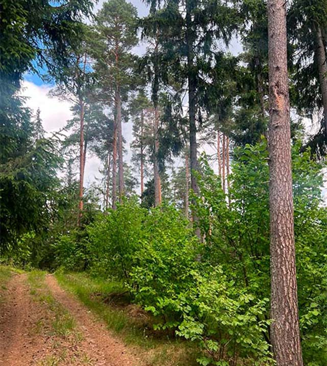06-pileni-ezezers-hutor.jpg